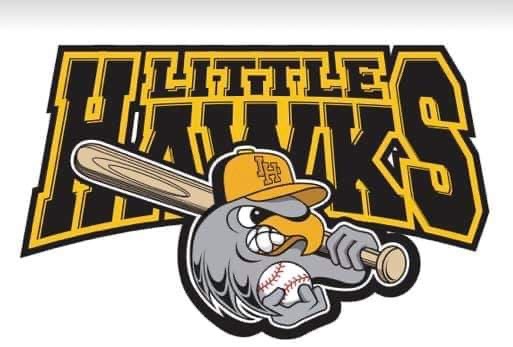 My Little Hawks Tryout